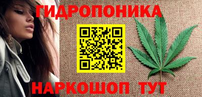 хмурый Краснознаменск