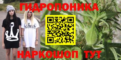 хмурый Краснознаменск
